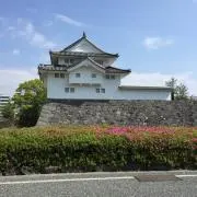 ジャジ555