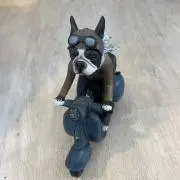 ALOの画像