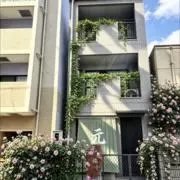 さくら