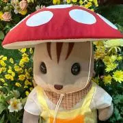 綾の画像