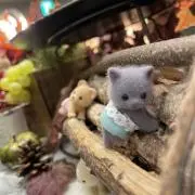 さっちゃん