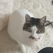 Mちゃんの画像
