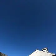 こっこの画像