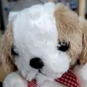 NAO