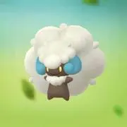 【即購入OK】ぼんの画像