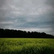 ☆彗☆ プロフ確認！！の画像