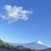 はち