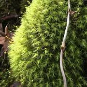 くーきーじょー