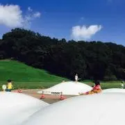 minallica