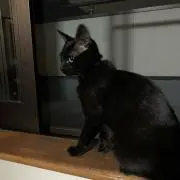 みー