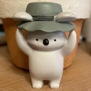 sasamiの画像