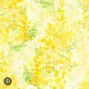 ミモザSHOPの画像