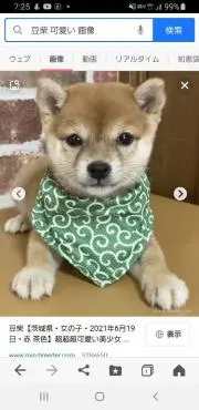 あきらの画像