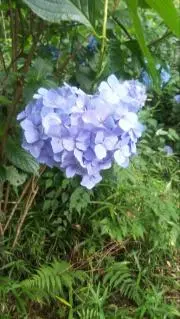 あやぽん。の画像