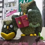 いけふくろうZの画像
