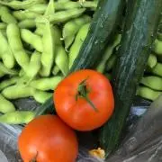 Chimakin
