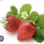 苺一笑❣️の画像