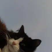 ぽの画像