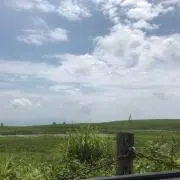return