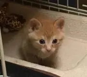 雅の画像