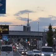 シゲの画像