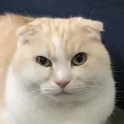 とろちゃん(=^x^=)