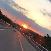 水木の画像