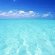 wellbee