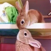 ゆずこ♡の画像