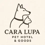 Cara Lupaの画像