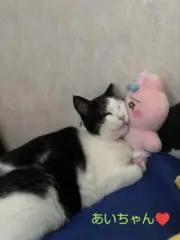あいちゃん