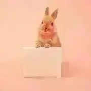 ゆぅの画像
