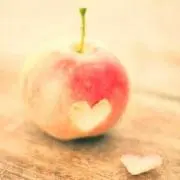 がいた☆ん