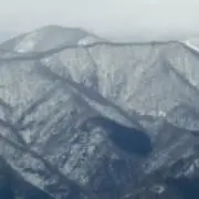 れとの画像