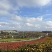 Sunの画像