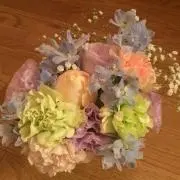 ごわの画像