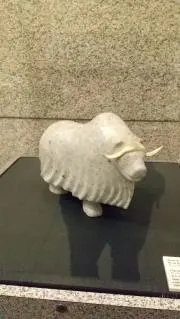 キコの画像