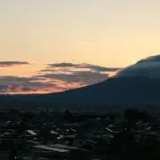 PDの画像