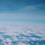 ユキの画像