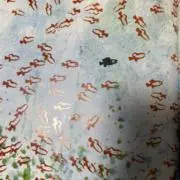 断捨離のご協力よろしくお願いしますの画像