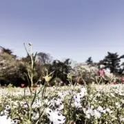花暖❁⃘２児の母 引越し断捨離⇒値下げ中の画像