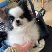 A☆me