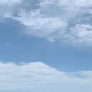ゆゆね