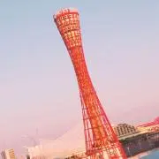 cookieの画像