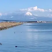 Peroの画像