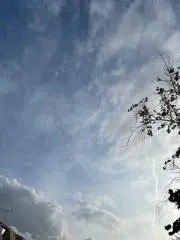 佐　プロフ必読の画像