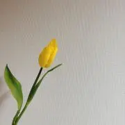 Mmの画像