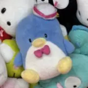 sの画像