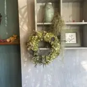 ランランルーの画像