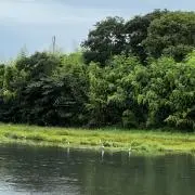 AZの画像